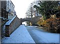 Staffordshire & Worcestershire Canal near Lower Mitton Bridge