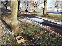 SP2872 : Plaque beneath tree, Abbey Fields by John Brightley