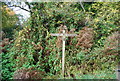 TQ6533 : Sussex Border Path signpost by N Chadwick