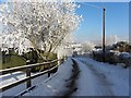 Road at Edenfell Cottages