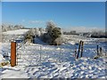 Snowy lane, Ballynamullan