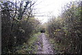 A muddy North Downs Way, Otford Mount