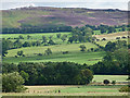 NU1112 : Farmland near Bolton by Stephen Richards