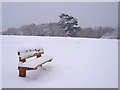 Nea Meadow in the Snow