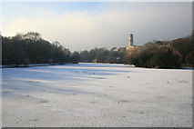 SK5438 : University Lake is frozen by David Lally