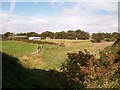 Settlement alongside the A2  at Cloghram viewed from the Lecale Way