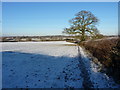 Icy footpath near Lower Penn