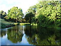 Sneyd Park nature reserve - looking over the pond