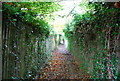 North Downs Way entering Otford