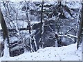 Fankerton weir, River Carron