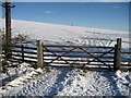 Gate by Ingthorpe Lane