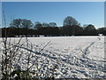 Footpath junction near Little Jockey