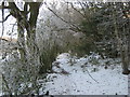 Footpath to Old Harrow Lane