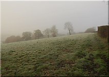 SS9910 : Mist and frost, Sock Hill by Derek Harper
