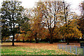 Late Autumn in Wandle Park