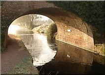 SS9913 : Tiverton Road Bridge, Grand Western Canal by Derek Harper