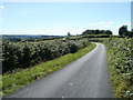 ST3693 : Bends ahead on the road to Llanhennock by Jaggery