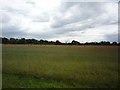 Farmland and old railway