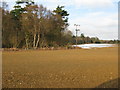 Snow lingering near West Wood