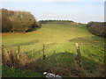 View from Green Lane towards Sibton Woods