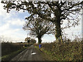 Bridleway towards Rumburgh