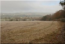 SS9813 : Field near Putson Cross by Derek Harper
