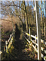 Footpath to Hazelhurst Wood