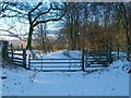 Gate on the Stoneymollan Road