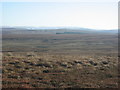 NY7353 : Panorama from Pikerigg Currick (6: SSE) by Mike Quinn