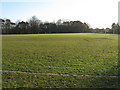 Playing fields at Nutley