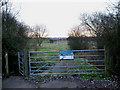 Woodham Fen Nature Reserve