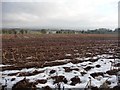 Stubble field off Dolly Lane