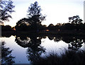 Dusk at White Ash Pond, Richmond Park