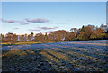 Field, Grangehill Estate, Beith