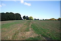 Sussex Border Path to Northiam