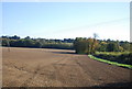 Large ploughed field east of Northiam