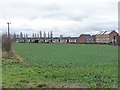 Houses in Chequers Close