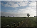 Footpath to Swanton Court Farm (2)