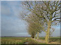 Footpath to Geddinge Farm