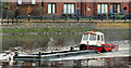 Dredging the River Lagan, Belfast  -  2010/11 (87)