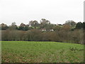 View out across valley to the east side of Chelwood Common