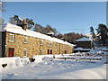 Cottages in Allenheads in the snow