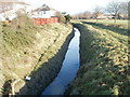 Liswerry Pill Reen, Newport