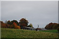 Autumn colours, Champney Farm