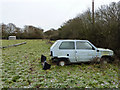 Dead Panda found in Sussex field!