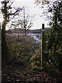 Footpath off Church Lane near Greatham