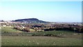 View across pasture land towards Burrenwood forest