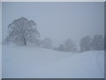 Snow Scene near Planetrees