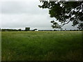 Pasture to the south of Woodlands Avenue, Bamber Bridge