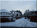 Looking from a snowy Bedhampton Hill into The Dell